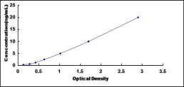 SEQ641Hu.jpg