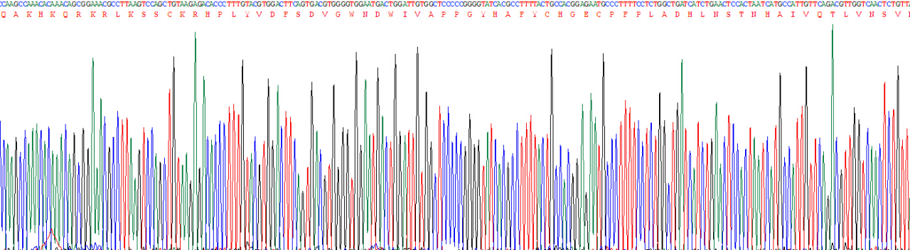 Active Bone Morphogenetic Protein 2 (BMP2)