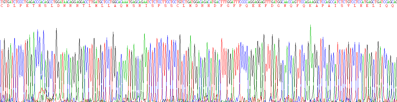 Active Interferon Alpha (IFNa)