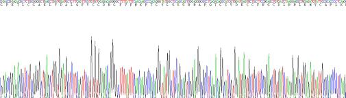 Active Insulin Like Growth Factor 1 (IGF1)