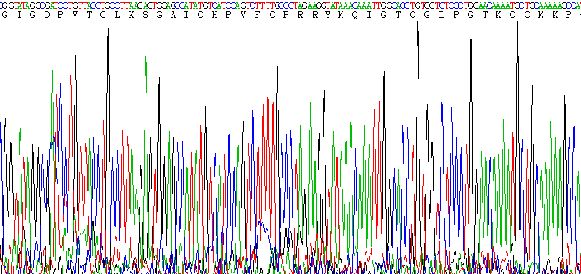 Active Defensin Beta 2 (DEFb2)