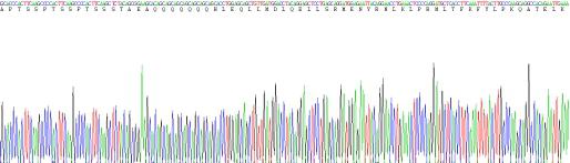 Active Interleukin 2 (IL2)