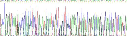 Active Interleukin 6 (IL6)