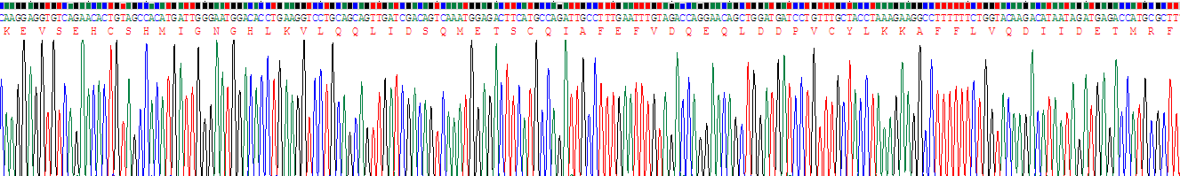 Active Colony Stimulating Factor 1, Macrophage (MCSF)