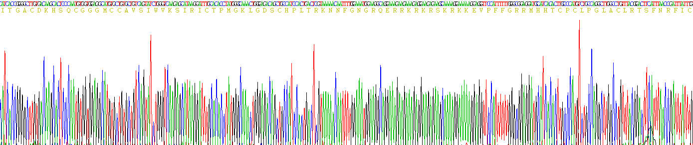 Active Prokineticin 2 (PK2)