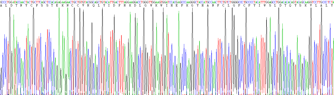 Active Transforming Growth Factor Beta 1 (TGFb1)