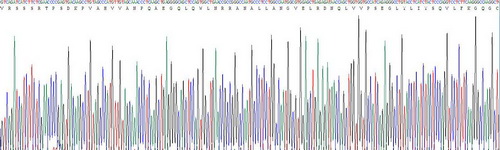 Active Tumor Necrosis Factor Alpha (TNFa)