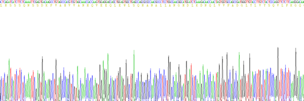 Active Tumor Necrosis Factor Alpha (TNFa)