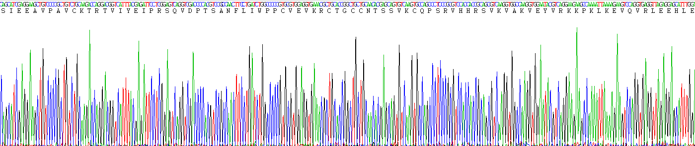 Active Platelet Derived Growth Factor Subunit A (PDGFA)