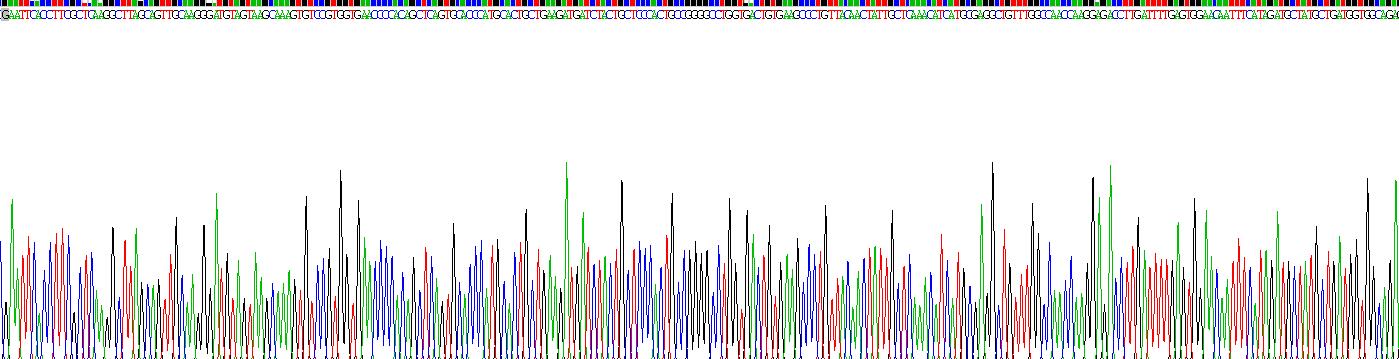 Active Glypican 4 (GPC4)