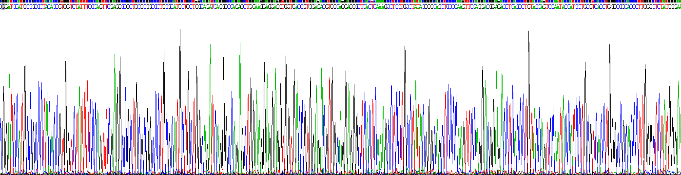 Active Glutathione S Transferase Pi (GSTp)