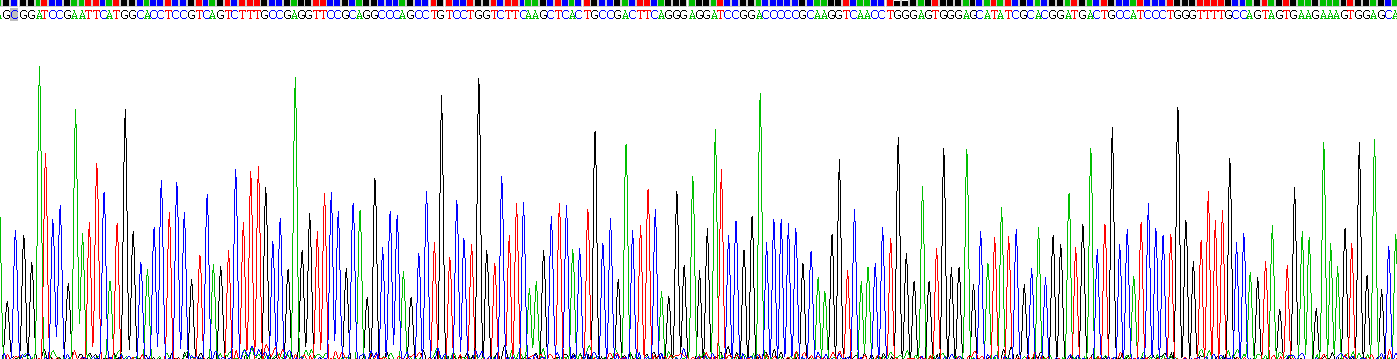 Active Aspartate Aminotransferase (AST)