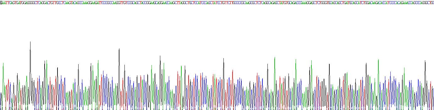 Active Secondary Lymphoid Tissue Chemokine (SLC)