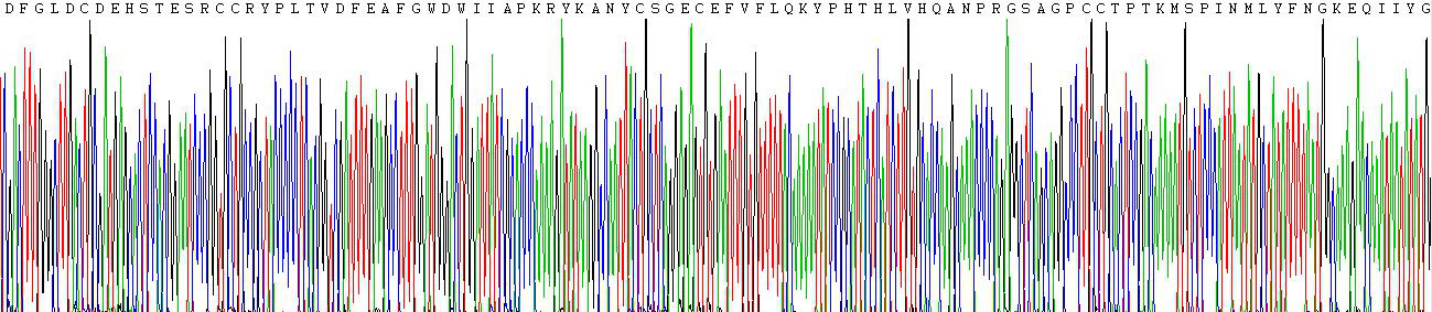 Active Myostatin (MSTN)