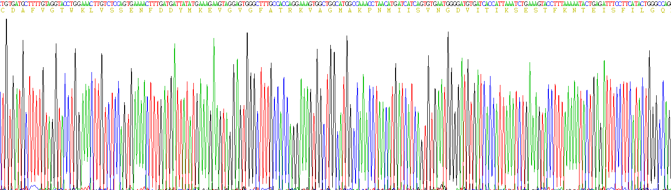 Active Fatty Acid Binding Protein 4 (FABP4)