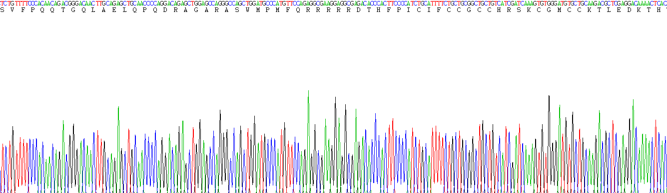 Active Hepcidin (Hepc)