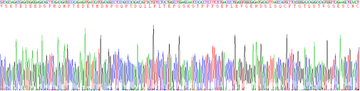 Active Receptor Activator Of Nuclear Factor Kappa B (RANk)