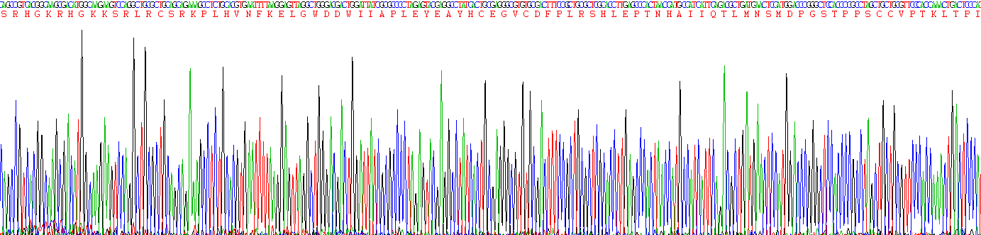 Active Growth Differentiation Factor 6 (GDF6)