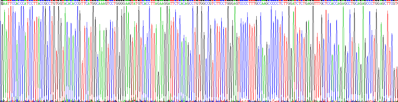 Active Carboxylesterase 1 (CES1)