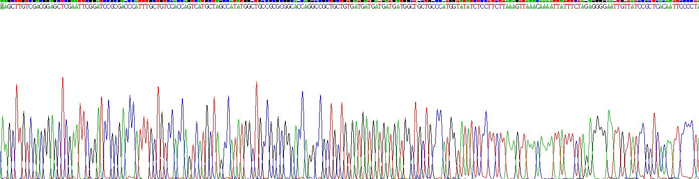 Active Fibroblast Growth Factor 18 (FGF18)