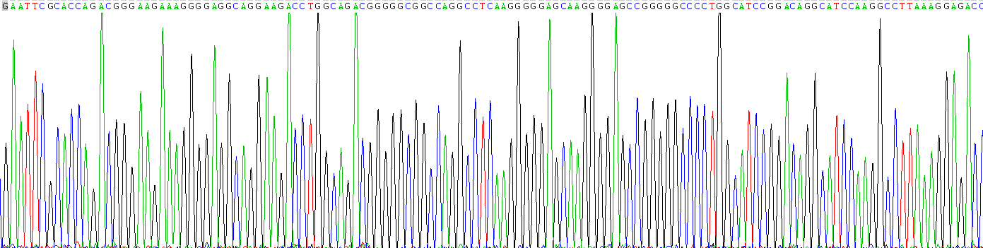 Active Complement Component 1, Q Subcomponent A (C1qA)