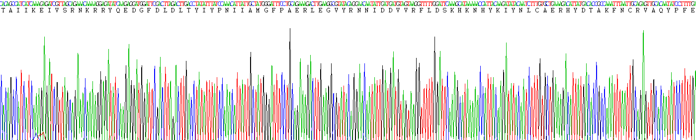 Active Phosphatase And Tensin Homolog (PTEN)