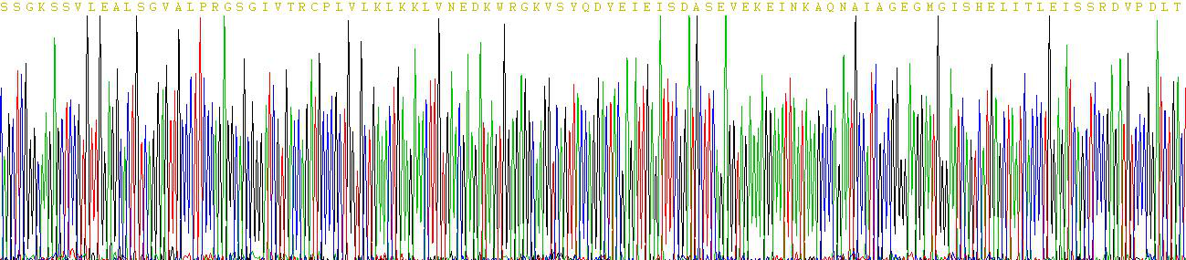 Active Myxovirus Resistance 1 (MX1)