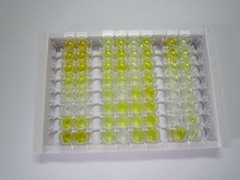 ELISA Kit for Angiotensin II (AngII)