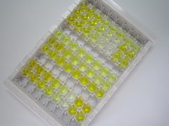 ELISA Kit for Prokineticin 2 (PK2)