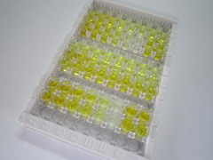 ELISA Kit for Meprin A Alpha (MEP1a)