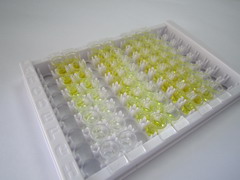 ELISA Kit for Adrenomedullin (ADM)