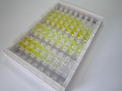 ELISA Kit for Cardiolipin (CL)