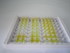 ELISA Kit for Luteinizing Hormone (LH)