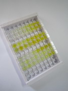 ELISA Kit for Dihydrotestosterone (DHT)