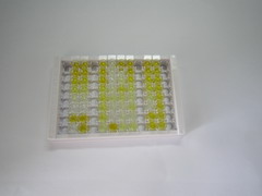 ELISA Kit for Insulin (INS)