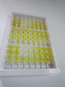 ELISA Kit for Insulin (INS)