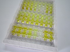 ELISA Kit for D-Dimer (D2D)