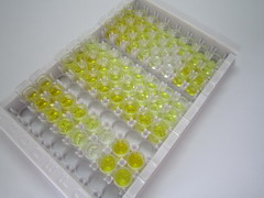 ELISA Kit for Platelet Activating Factor (PAF)