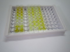 ELISA Kit for Endostatin (ES)