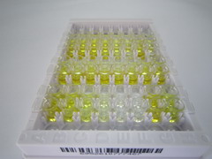 ELISA Kit for Fibroblast Growth Factor 2, Basic (FGF2)