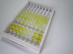 ELISA Kit for Procollagen III N-Terminal Propeptide (PIIINP)