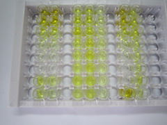 ELISA Kit for Sphingomyelin (SPH)