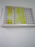 ELISA Kit for Gonadotropin Releasing Hormone (GnRH)