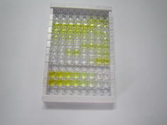 ELISA Kit for Aldosterone (ALD)