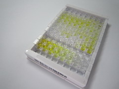 ELISA Kit for Vitamin B6 (VB6)