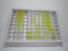 ELISA Kit for Amyloid Beta Peptide 1-42 (Ab1-42)