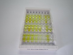 ELISA Kit for Amyloid Beta Peptide 1-42 (Ab1-42)