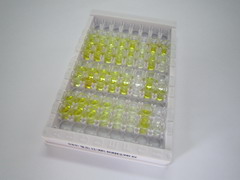 ELISA Kit for Procollagen I N-Terminal Propeptide (PINP)