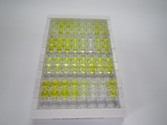 ELISA Kit for Peptide YY (PYY)