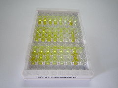 ELISA Kit for Enkephalin (ENK)